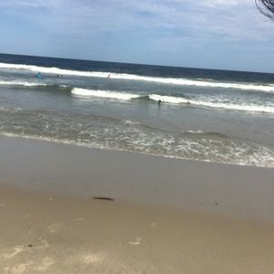 Meet your Posher, Claudia